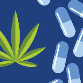 Can Cannabis Replace Opioids?