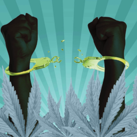 Cannabis & Social Justice – Addressing The Racial Disparities in Cannabis Legalization & Incarceration Rates