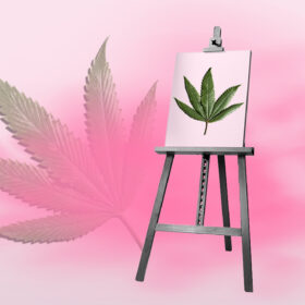 Insights From Artists & Innovators on The Impact of Cannabis for Creativity