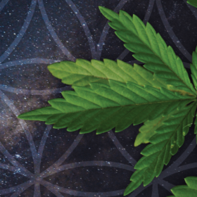 Mind, Body, and Bud – The Spiritual Dimensions of Cannabis Use
