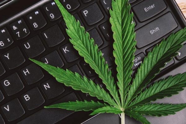 Workplace Cannabis Etiquette – Best Practices for Employees and Employers